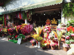 Flowers at the Longhua Flower Square at Bo`Ai South Road