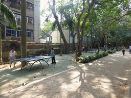 People playing table tennis at Haikou People`s Park