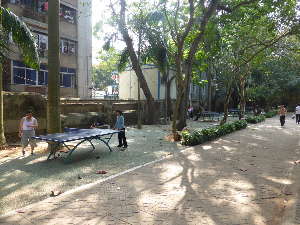 People playing table tennis at Haikou People`s Park