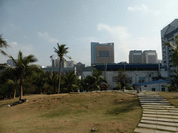 Grassland at Haikou People`s Park