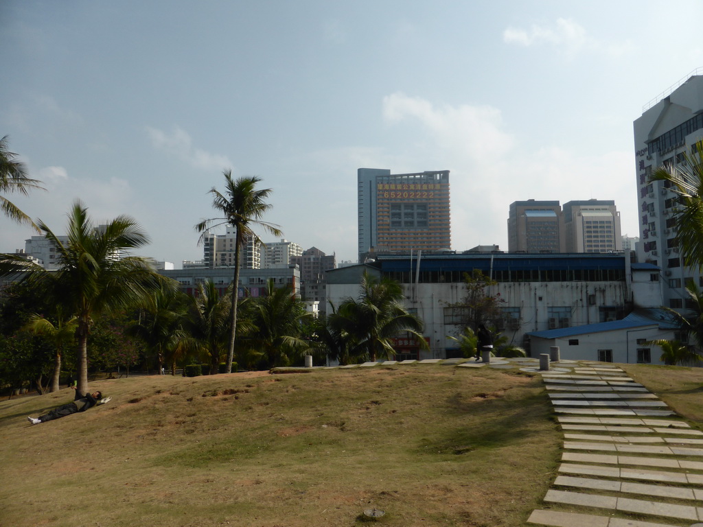 Grassland at Haikou People`s Park