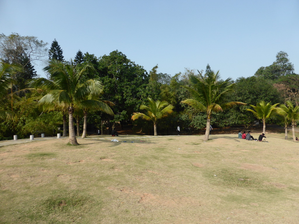 Grassland at Haikou People`s Park