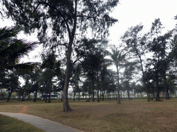 Trees at the Holiday Beachside Resort at Binhai Avenue