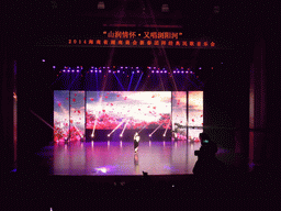 Singer on the stage during the show for Hunan immigrants in the main hall of the Hainan Centre for the Performing Arts