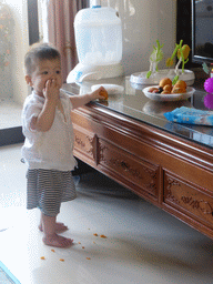 Max eating fruit in the apartment of Miaomiao`s sister