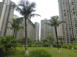 Buildings and central garden at the apartment complex of Miaomiao`s sister