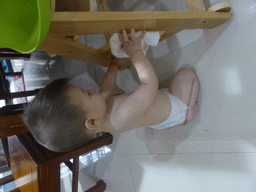 Max cleaning his chair in the apartment of Miaomiao`s sister