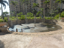 Empty swimming pool of the apartment complex of Miaomiao`s sister