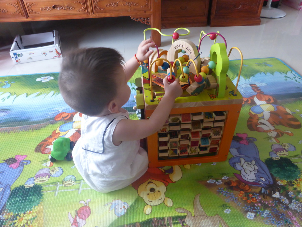 Max playing with his birthday gift in the apartment of Miaomiao`s sister