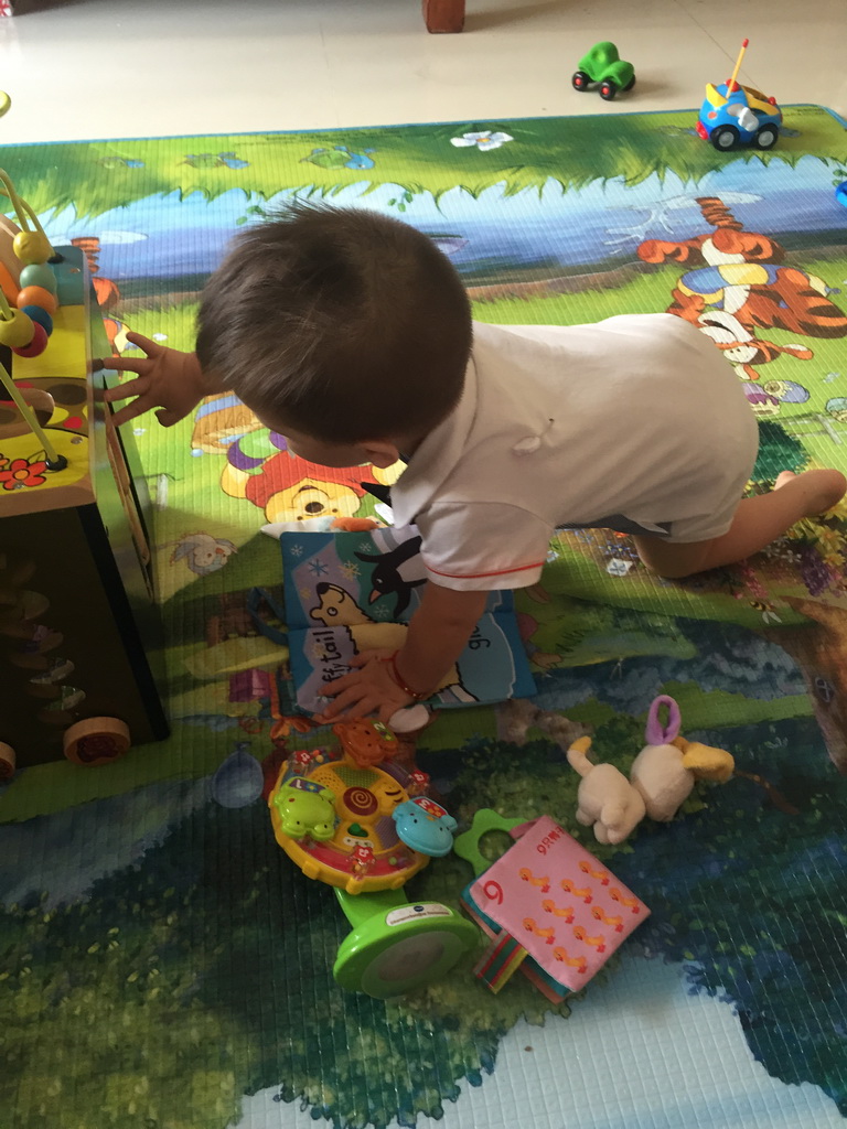 Max playing with his birthday gift in the apartment of Miaomiao`s sister