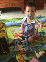 Max playing with his birthday gift in the apartment of Miaomiao`s sister