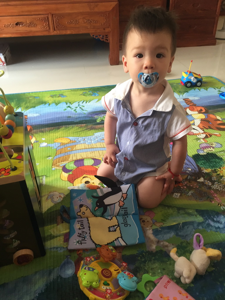 Max playing with his birthday gift in the apartment of Miaomiao`s sister