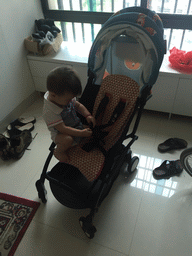 Max with his buggy in the apartment of Miaomiao`s sister