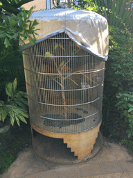 Bird cage in the outdoor garden at Haikou Meilan International Airport