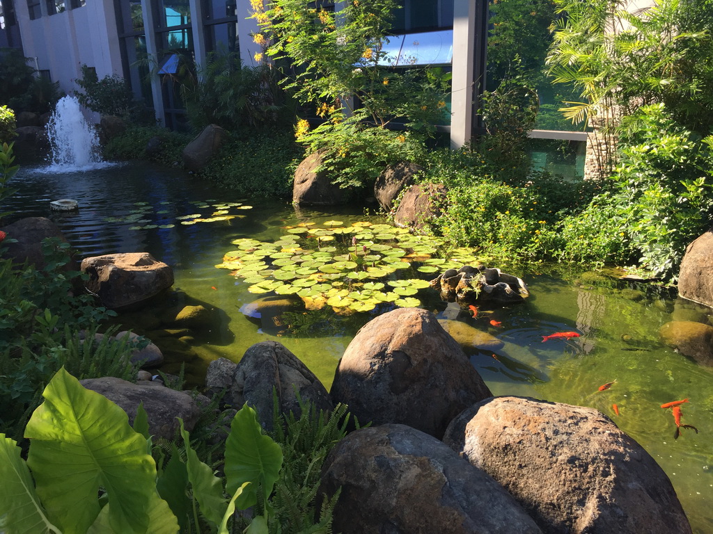 Pool with fountain and fish in the outdoor garden at Haikou Meilan International Airport