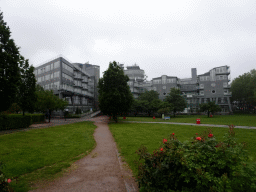 The Michielwiese park and the Gruner + Jahr Headquarters