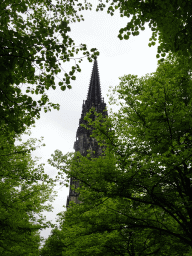 hamburg_1_034 - 486 kb - 768x1024 - Trees at the Hopfenmarkt square and the west side of the tower of the St. Nikolai Memorial Trees at the Hopfenmarkt square and the west side of the tower of the St. Nikolai Memorial