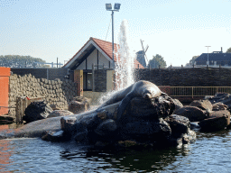 Steller Sea Lion at the Stoere Stellerstek area at the Dolfinarium Harderwijk