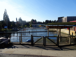 The DolfijnenDelta area at the Dolfinarium Harderwijk