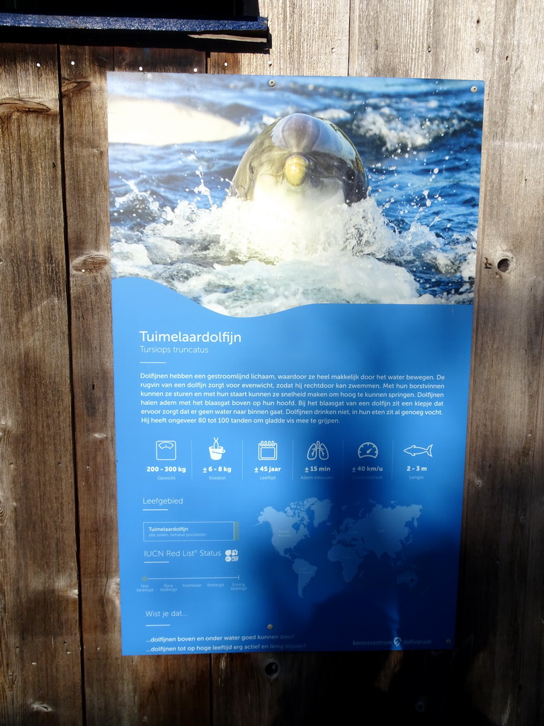 Information on the Common Bottlenose Dolphin at the DolfijnenDelta area at the Dolfinarium Harderwijk