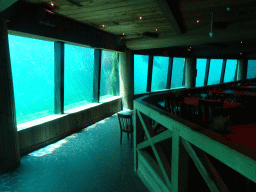 Interior of the Onder Odiezee area at the Dolfinarium Harderwijk