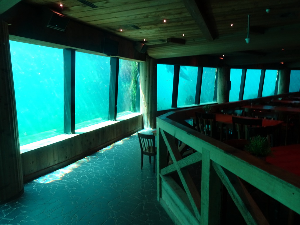 Interior of the Onder Odiezee area at the Dolfinarium Harderwijk