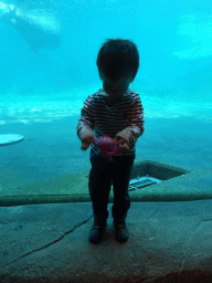 Max with jellyfish toy and Walruses at the Onder Odiezee area at the Dolfinarium Harderwijk