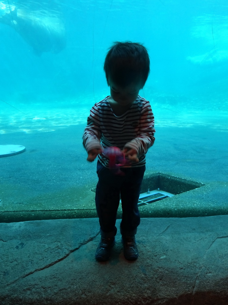Max with jellyfish toy and Walruses at the Onder Odiezee area at the Dolfinarium Harderwijk