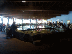 Interior of the Roggenrif area at the Dolfinarium Harderwijk