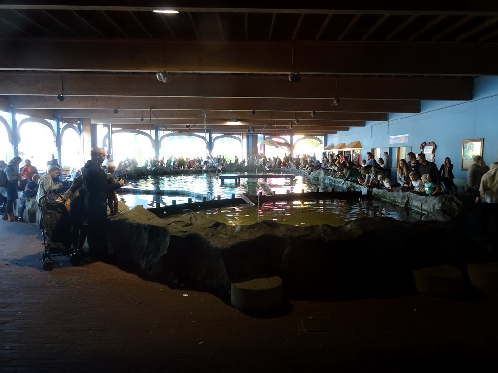 Interior of the Roggenrif area at the Dolfinarium Harderwijk