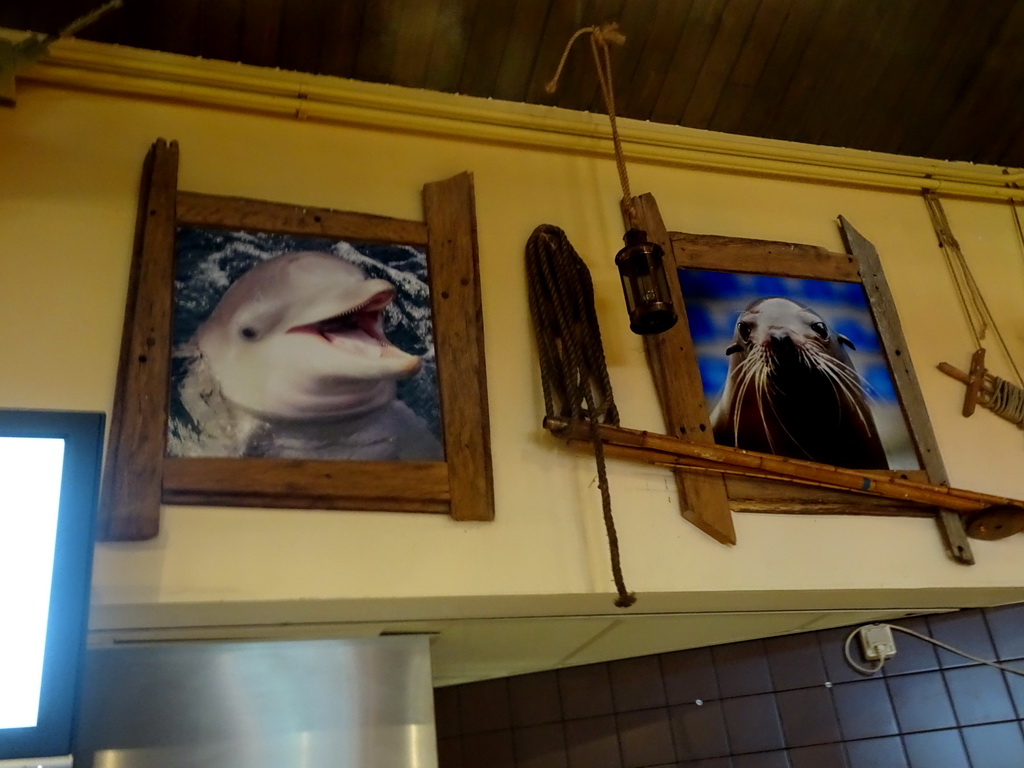 Photographs of a Dolphin and a Sea Lion at Restaurant De Andersom at the Dolfinarium Harderwijk