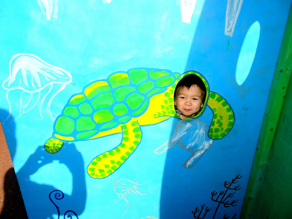 Max with a Turtle cardboard at the Dolfinarium Harderwijk