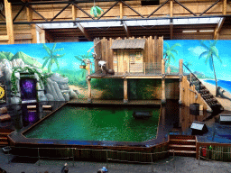 Zookeeper and California Sea Lion during the `Avontureneiland en het Magische Amulet` show at the Zoete Zeeleeuwentheater at the Dolfinarium Harderwijk