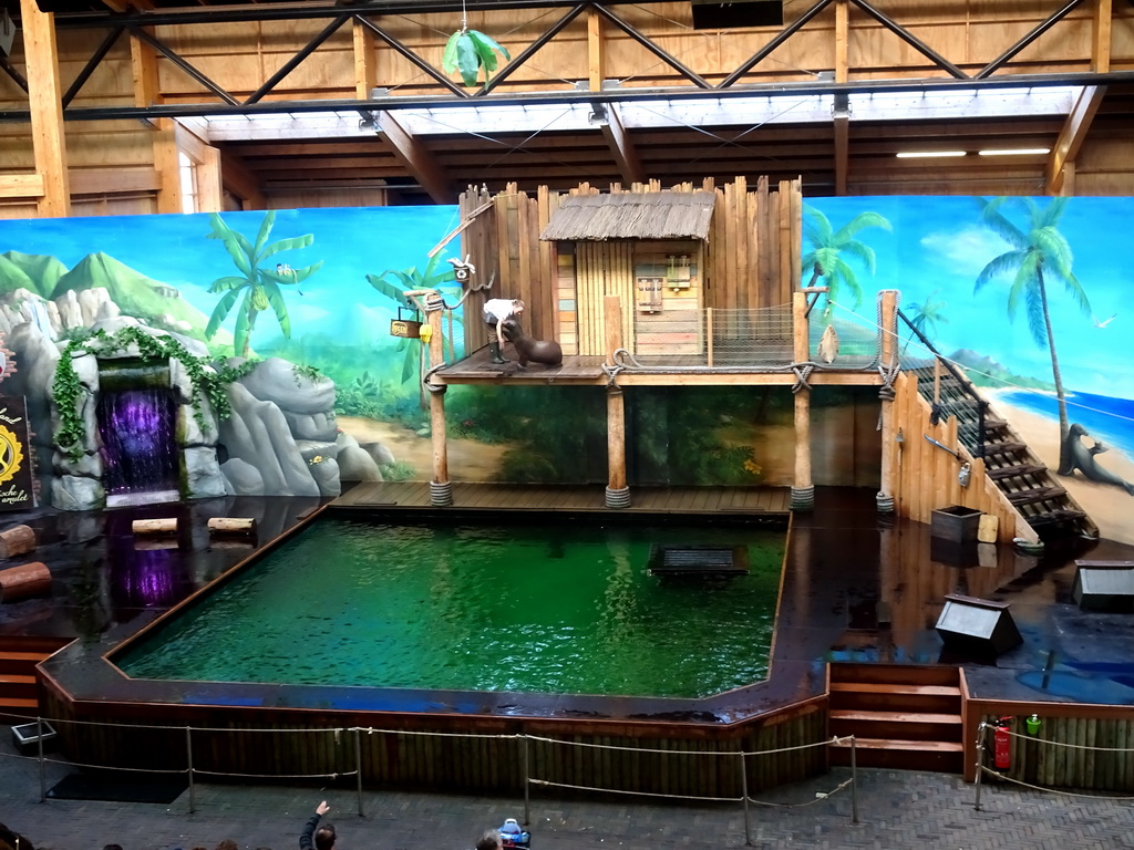 Zookeeper and California Sea Lion during the `Avontureneiland en het Magische Amulet` show at the Zoete Zeeleeuwentheater at the Dolfinarium Harderwijk