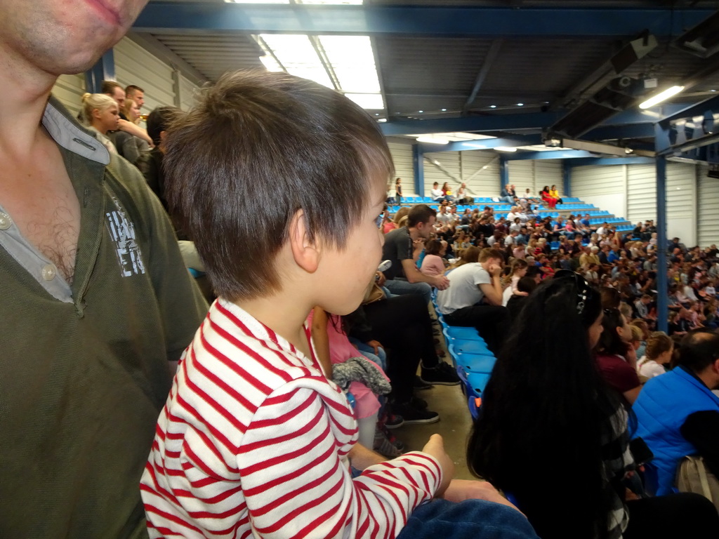 Max looking at the `Avontureneiland en het Magische Amulet` show at the Zoete Zeeleeuwentheater at the Dolfinarium Harderwijk