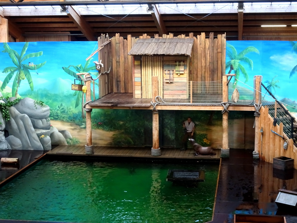 Zookeeper and California Sea Lion during the `Avontureneiland en het Magische Amulet` show at the Zoete Zeeleeuwentheater at the Dolfinarium Harderwijk