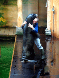 Zookeeper and California Sea Lion during the `Avontureneiland en het Magische Amulet` show at the Zoete Zeeleeuwentheater at the Dolfinarium Harderwijk