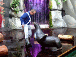 Zookeeper and California Sea Lion during the `Avontureneiland en het Magische Amulet` show at the Zoete Zeeleeuwentheater at the Dolfinarium Harderwijk