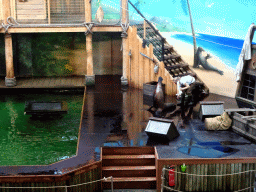 Zookeeper and California Sea Lion during the `Avontureneiland en het Magische Amulet` show at the Zoete Zeeleeuwentheater at the Dolfinarium Harderwijk