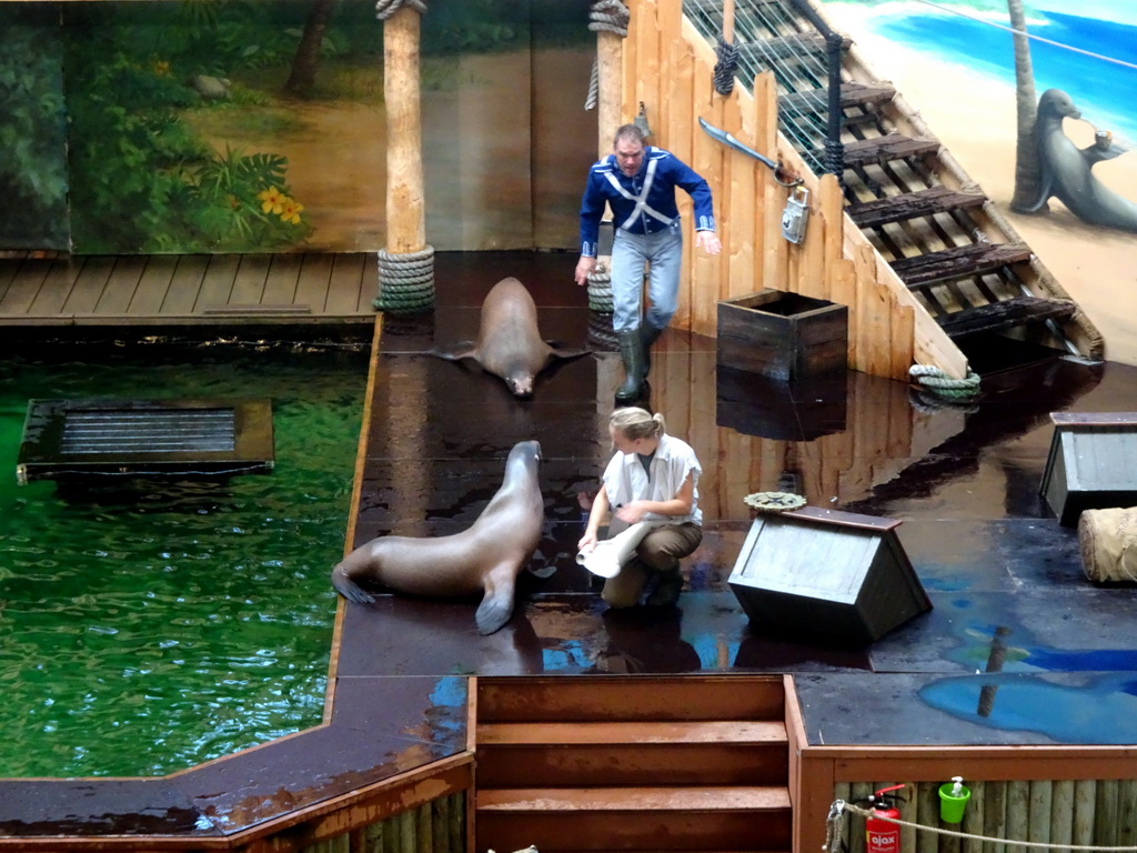 Zookeepers and California Sea Lions during the `Avontureneiland en het Magische Amulet` show at the Zoete Zeeleeuwentheater at the Dolfinarium Harderwijk