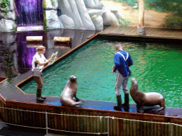 Zookeepers and California Sea Lions during the `Avontureneiland en het Magische Amulet` show at the Zoete Zeeleeuwentheater at the Dolfinarium Harderwijk