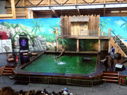 Zookeepers and California Sea Lions during the `Avontureneiland en het Magische Amulet` show at the Zoete Zeeleeuwentheater at the Dolfinarium Harderwijk
