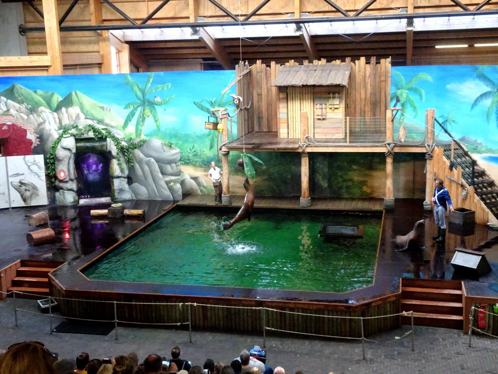 Zookeepers and California Sea Lions during the `Avontureneiland en het Magische Amulet` show at the Zoete Zeeleeuwentheater at the Dolfinarium Harderwijk