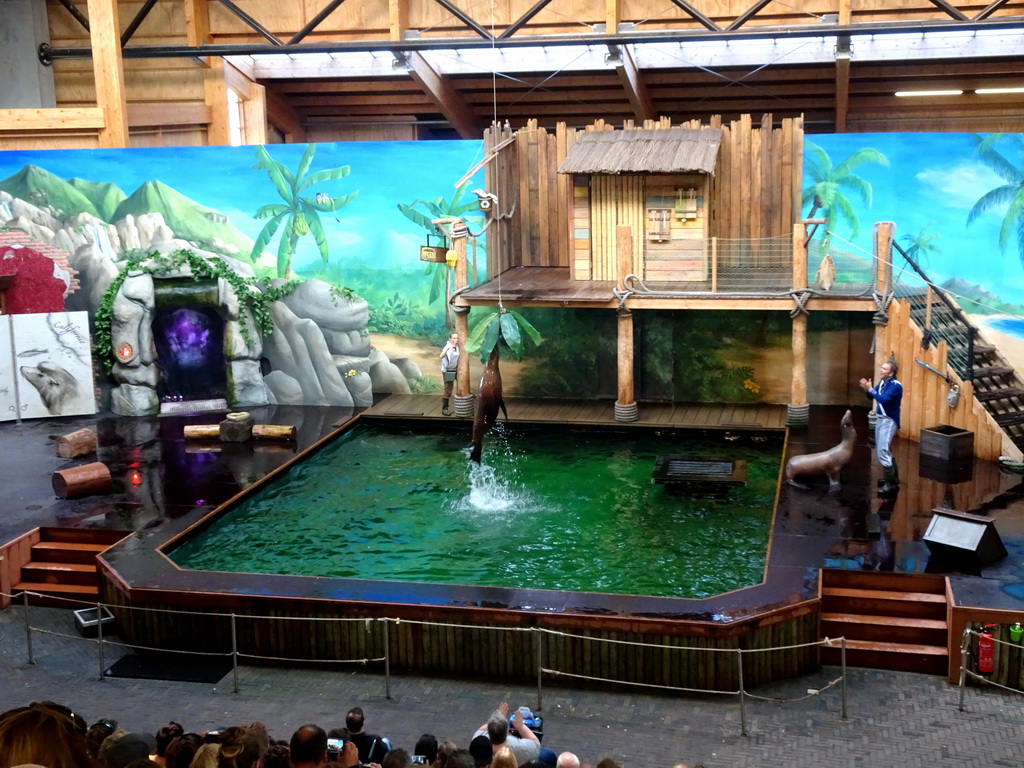 Zookeepers and California Sea Lions during the `Avontureneiland en het Magische Amulet` show at the Zoete Zeeleeuwentheater at the Dolfinarium Harderwijk