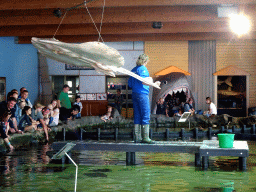 Zookeeper and Stingrays at the Roggenrif area at the Dolfinarium Harderwijk