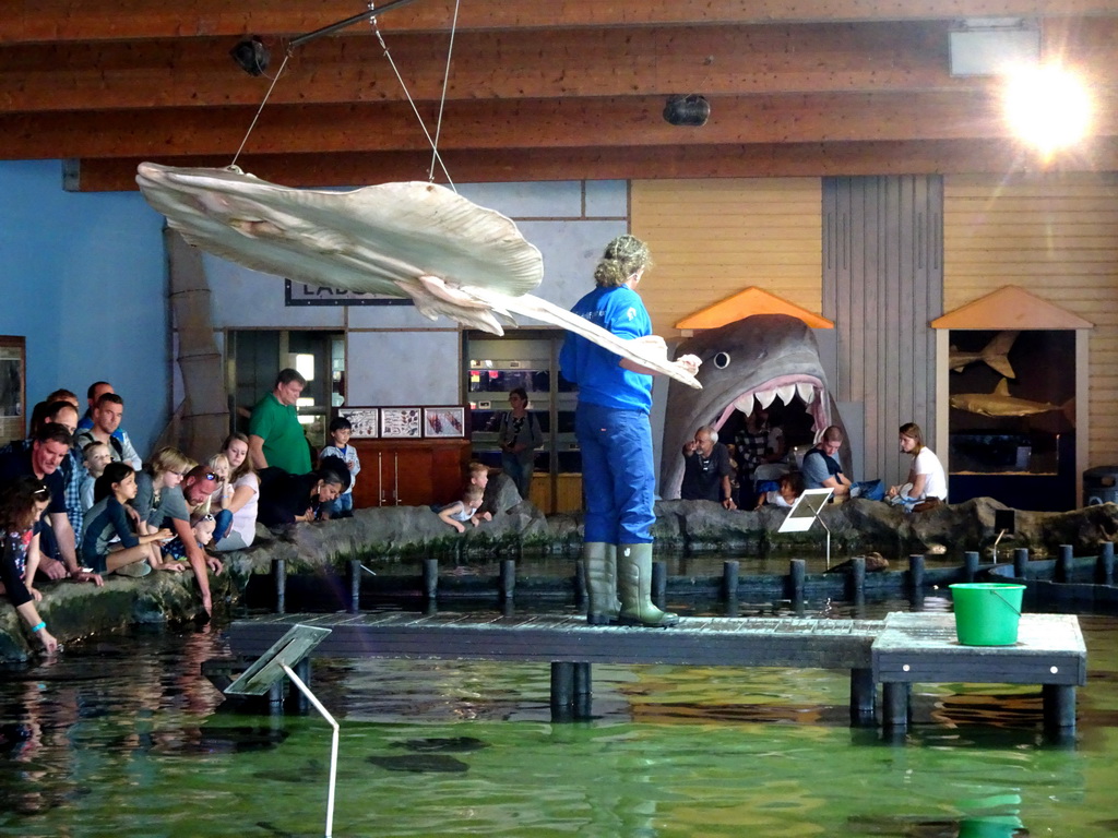 Zookeeper and Stingrays at the Roggenrif area at the Dolfinarium Harderwijk