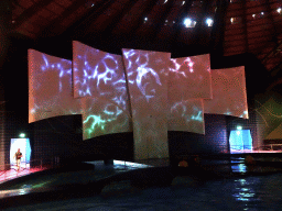 Interior of the DolfijndoMijn theatre at the Dolfinarium Harderwijk, just before the Aqua Bella show