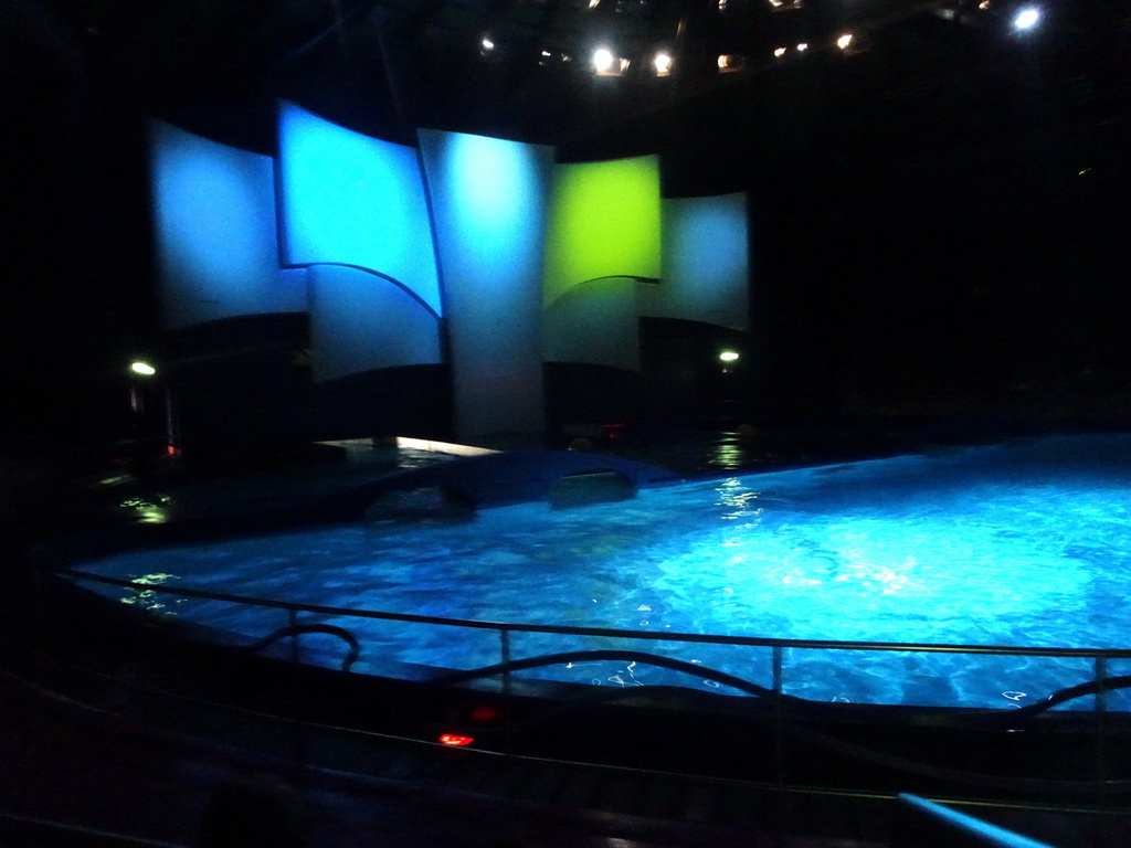 Interiof of the DolfijndoMijn theatre at the Dolfinarium Harderwijk, during the Aqua Bella show