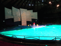 Zookeeper and Dolphin during the Aqua Bella show at the DolfijndoMijn theatre at the Dolfinarium Harderwijk