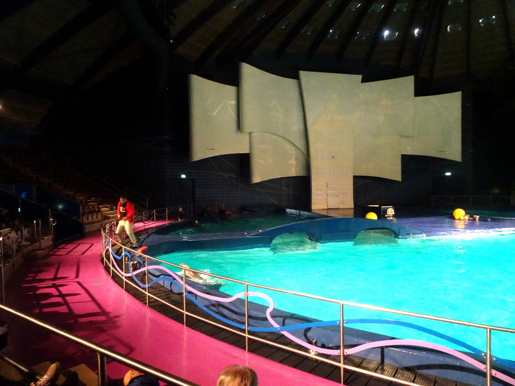 Zookeeper during the Aqua Bella show at the DolfijndoMijn theatre at the Dolfinarium Harderwijk